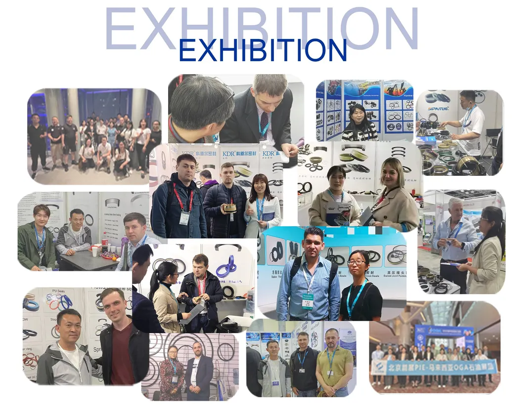 2" 3" Repair Kits Chiksan Coiled Tubing Reel Swivel Joints Kits