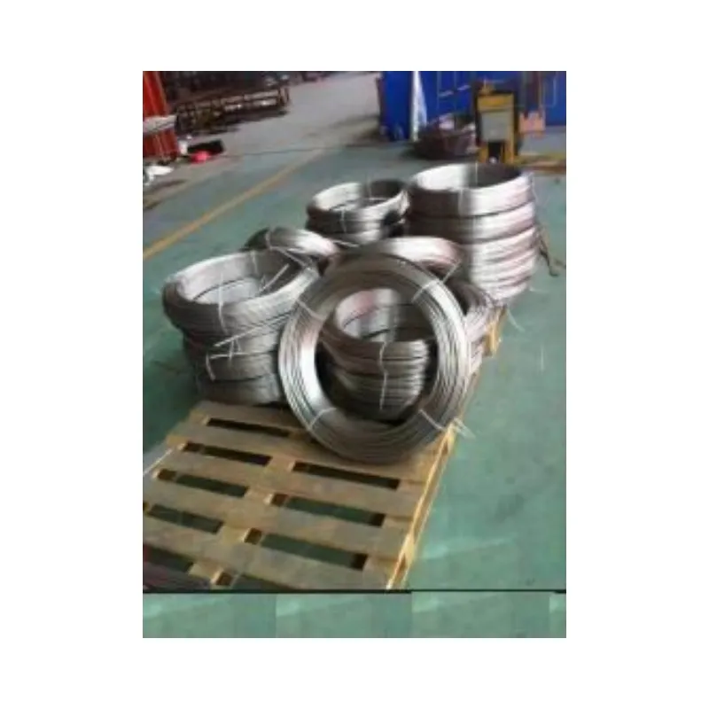 Ss 304 316L Stainless Steel Seamless Coiled Tube/Tubing