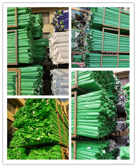 Mingchi High Quality 50years South America PPR Pipe 20-160 for Hot/Cold Water