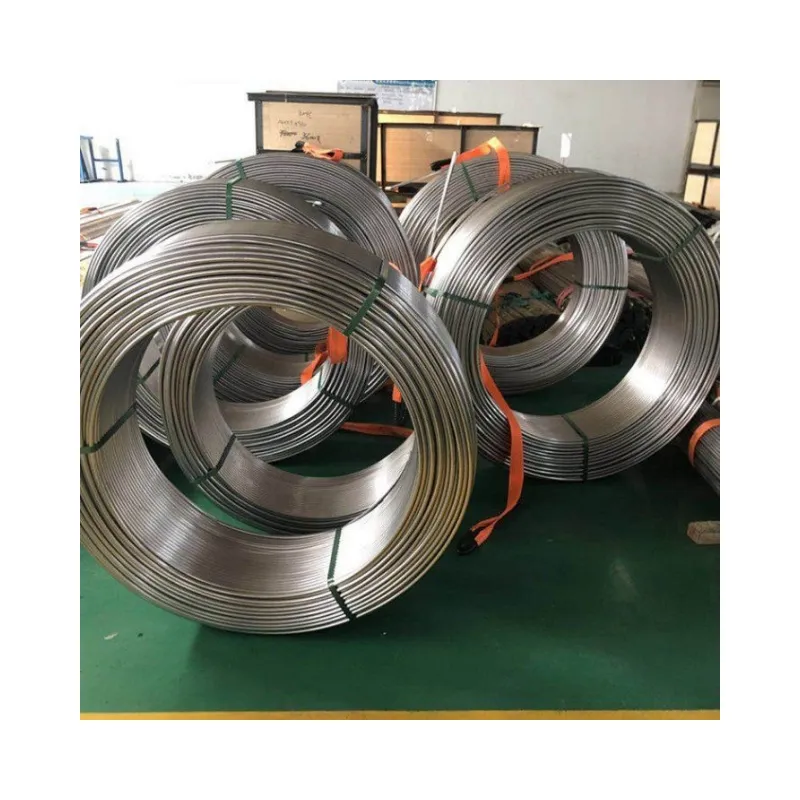 Ss 304 316L Stainless Steel Seamless Coiled Tube/Tubing