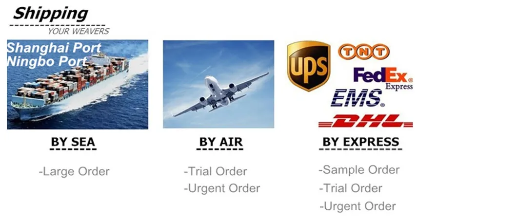 CPVC PVC PPR Plumbing Molding Brass Insert Pipe Socket Fitting