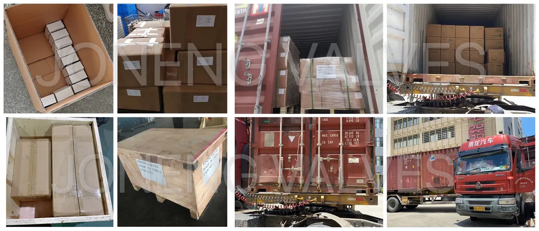 Sanitary Stainless Steel Female Threaded Pipe Section/Multi-Branch Pipe