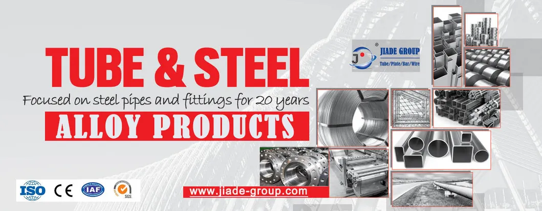 ASTM Tp316L Boiler Stainless Steel Seamless Tubes Alloy Steel Pipe