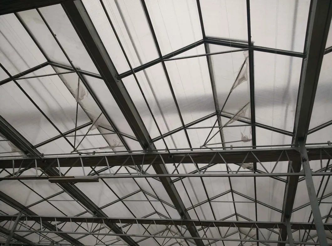 Corrosion-Resistant Hot-DIP Greenhouse Steel Pipehot DIP Galvanized Greenhouse Pipe, Galvanized Steel Pipe in Wuxi, China