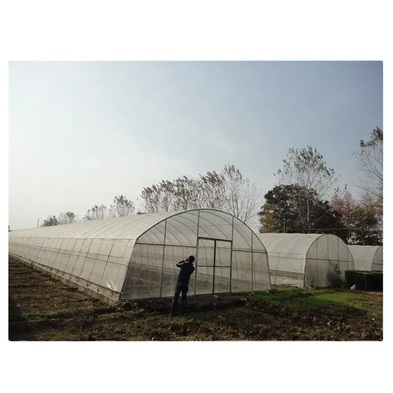 2inch 2.5inch 2mm Thickness Greenhouse Structure Gi Tube Agriculture Oval Galvanized Bending Pipe