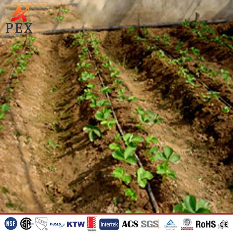 Precision Drip Irrigation Tubing 16mmx1.2mm, Saves Water with Uniform Distribution for Crops