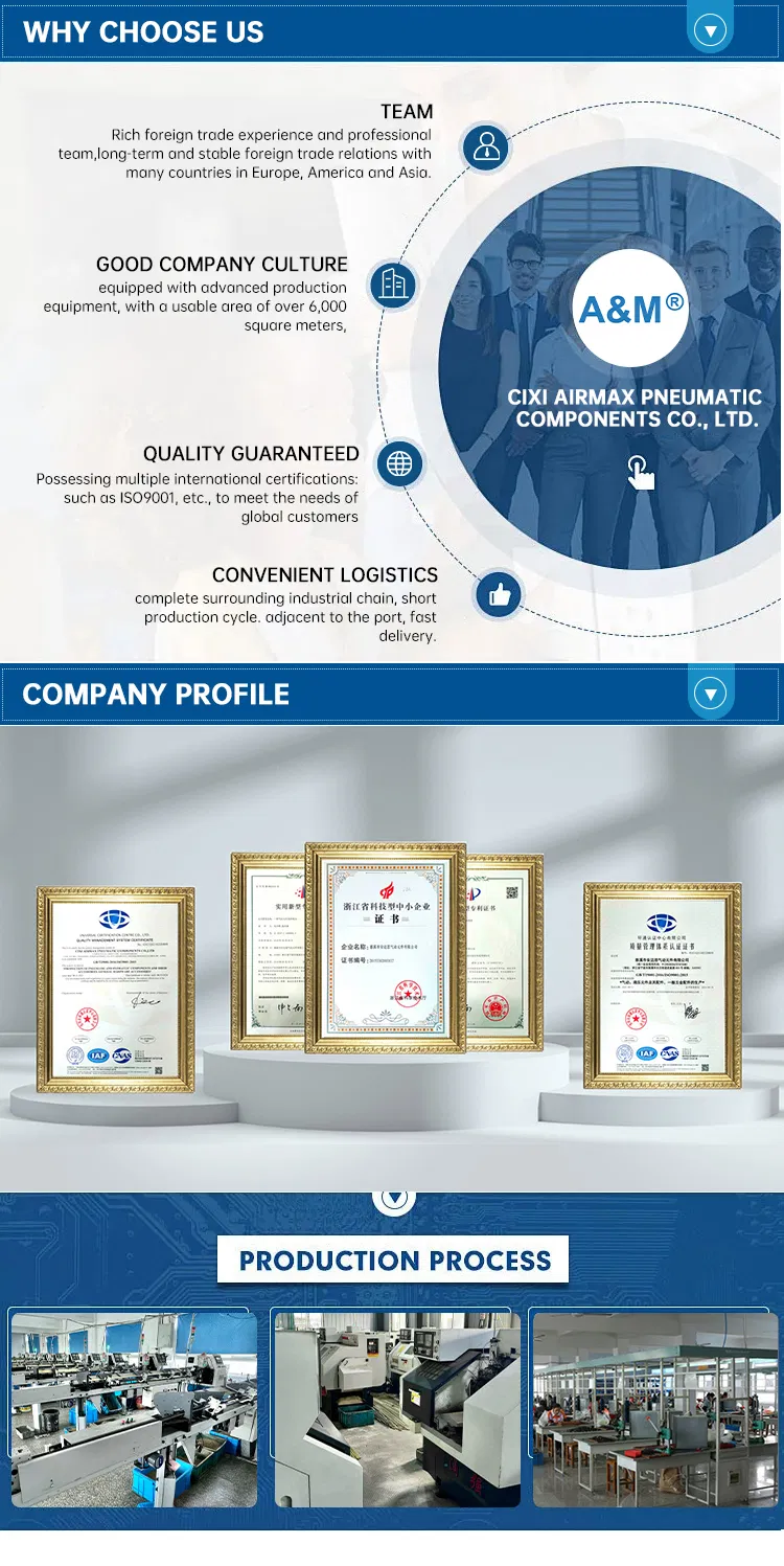 Multi-Size Bsp/NPT Thread Pneumatic Couplings for Air Toolsreliable Quick-Release Air Fittings for Compressed Gas Systems