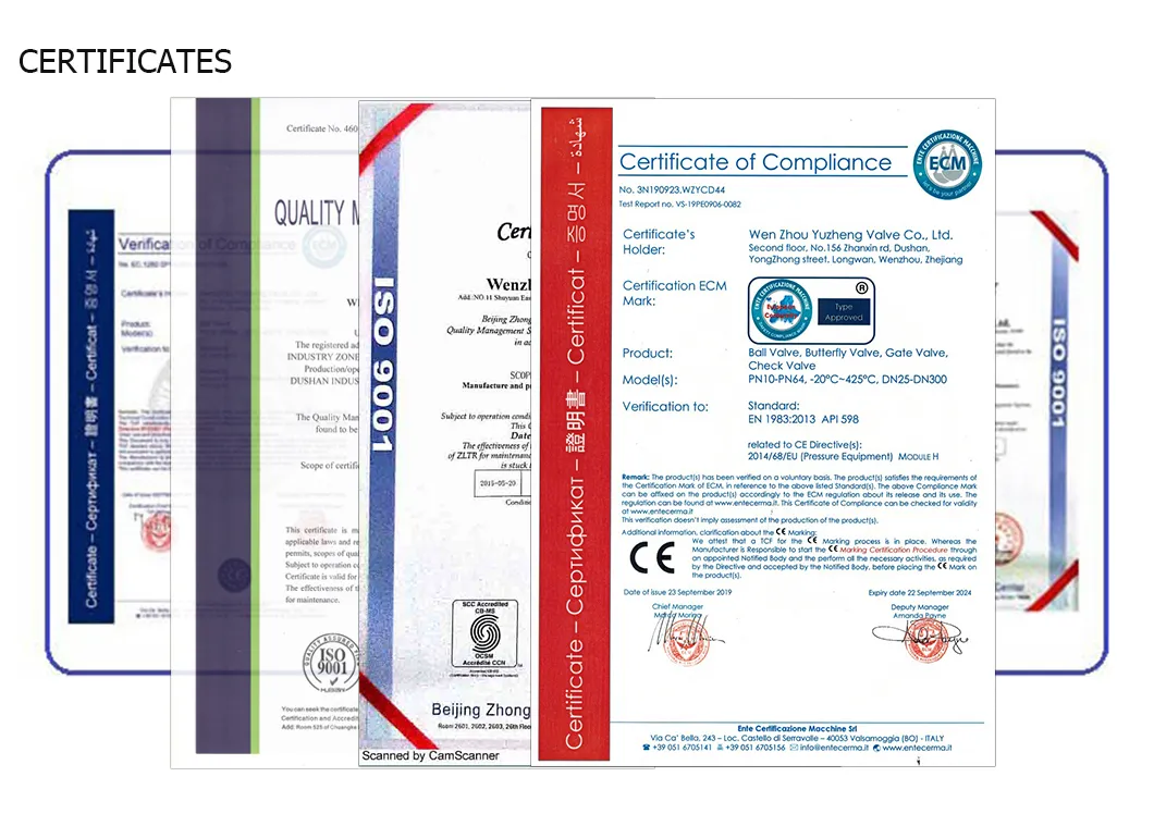 Stainless Steel CF8/CF8m/Wcb/Ci/Brass BSPT/BSPP/NPT/Welded High Pressure Stainless Steel Pipe Fitting for Chemical Industry