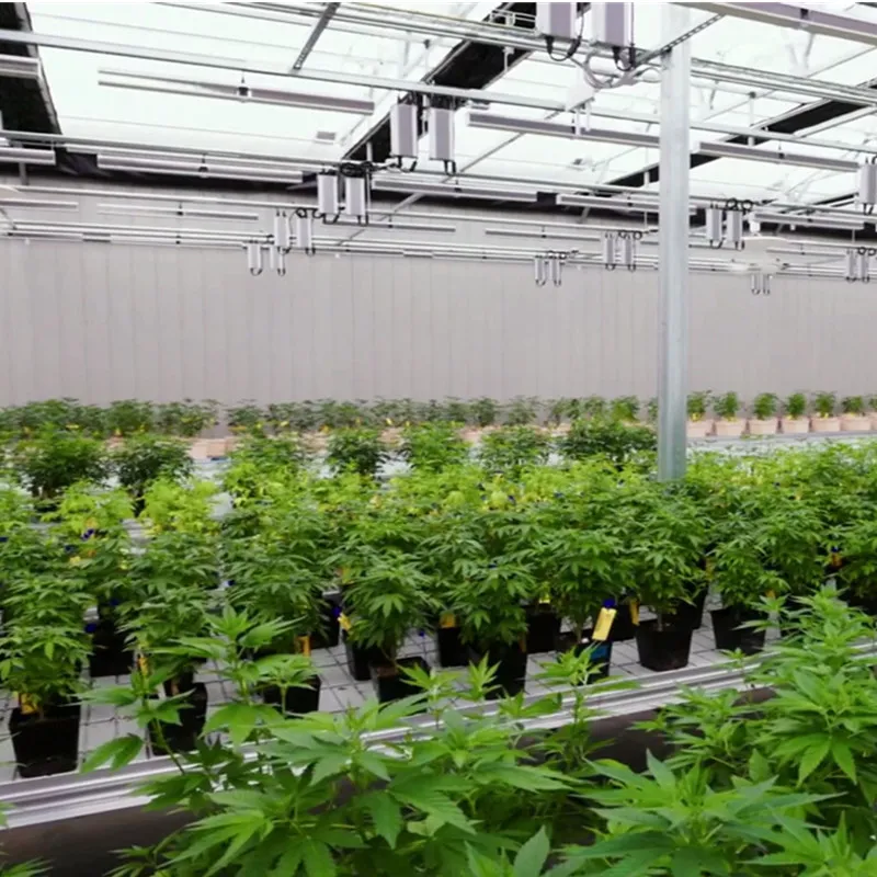 High Quality Greenhouse Pipe Manufacturer's Breeding Greenhouse Pipe Spot Connected Greenhouse Pipe Hot Selling