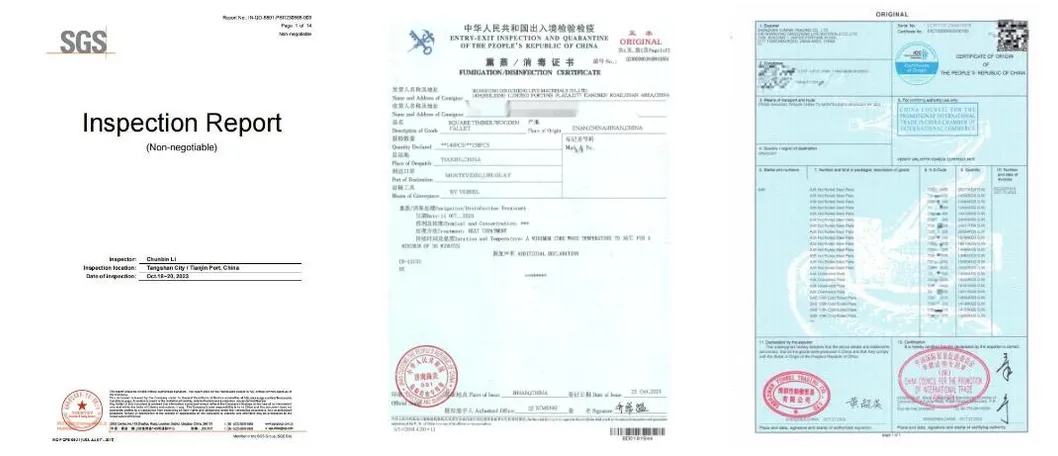 Free Sample 201 304 304L 430 316 316L 316 310 310S 904L Stainless Square/Round Seamless Welded Pipe Stainless Steel Pipe