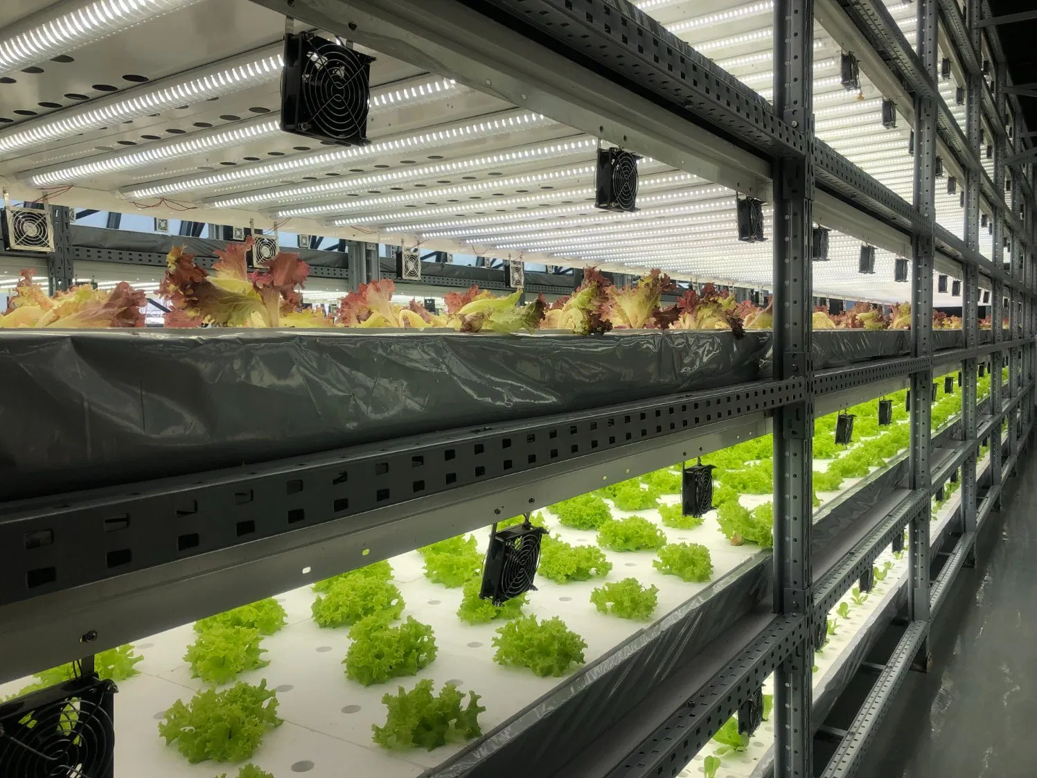 Corrosion-Resistant Hot-DIP Greenhouse Steel Pipehot DIP Galvanized Greenhouse Pipe, Galvanized Stee