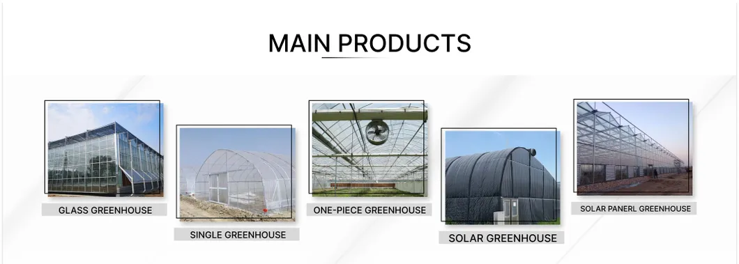 High Quality Greenhouse Pipe Manufacturer's Breeding Greenhouse Pipe Spot Connected Greenhouse Pipe Hot Selling