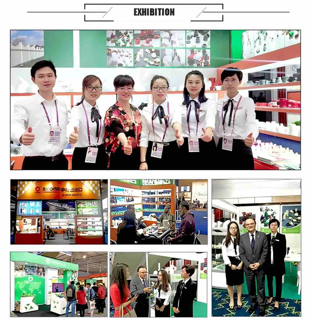 PPR Pipes, Pn20 Plastic Pipes, PPR Pipes for Hot and Cold Water