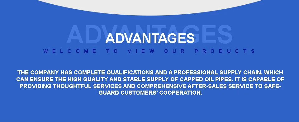 Durable Painted ERW Pipe with Plastic End Protectors, 21.3-165.2mm Od, En 10255, for Cable Management and Electrical Conduit Applications.