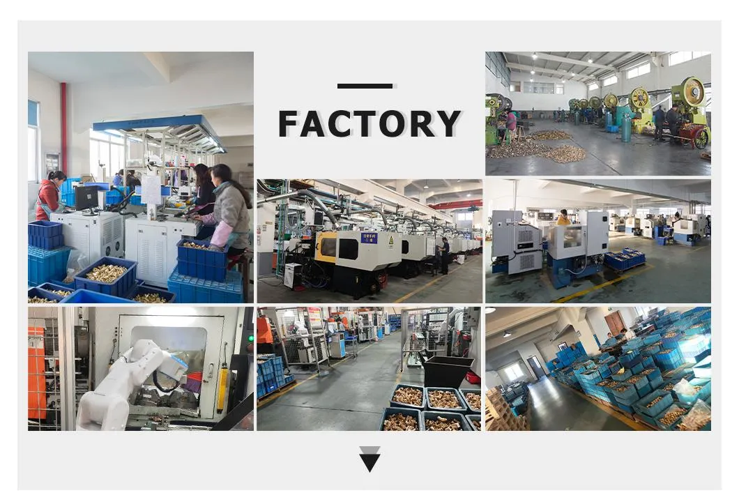 Factory Outlet Brass Female Thread Tee Pipe Fitting for Plumbing, Sanitation Brass Compression Fitting for PVC Pipe