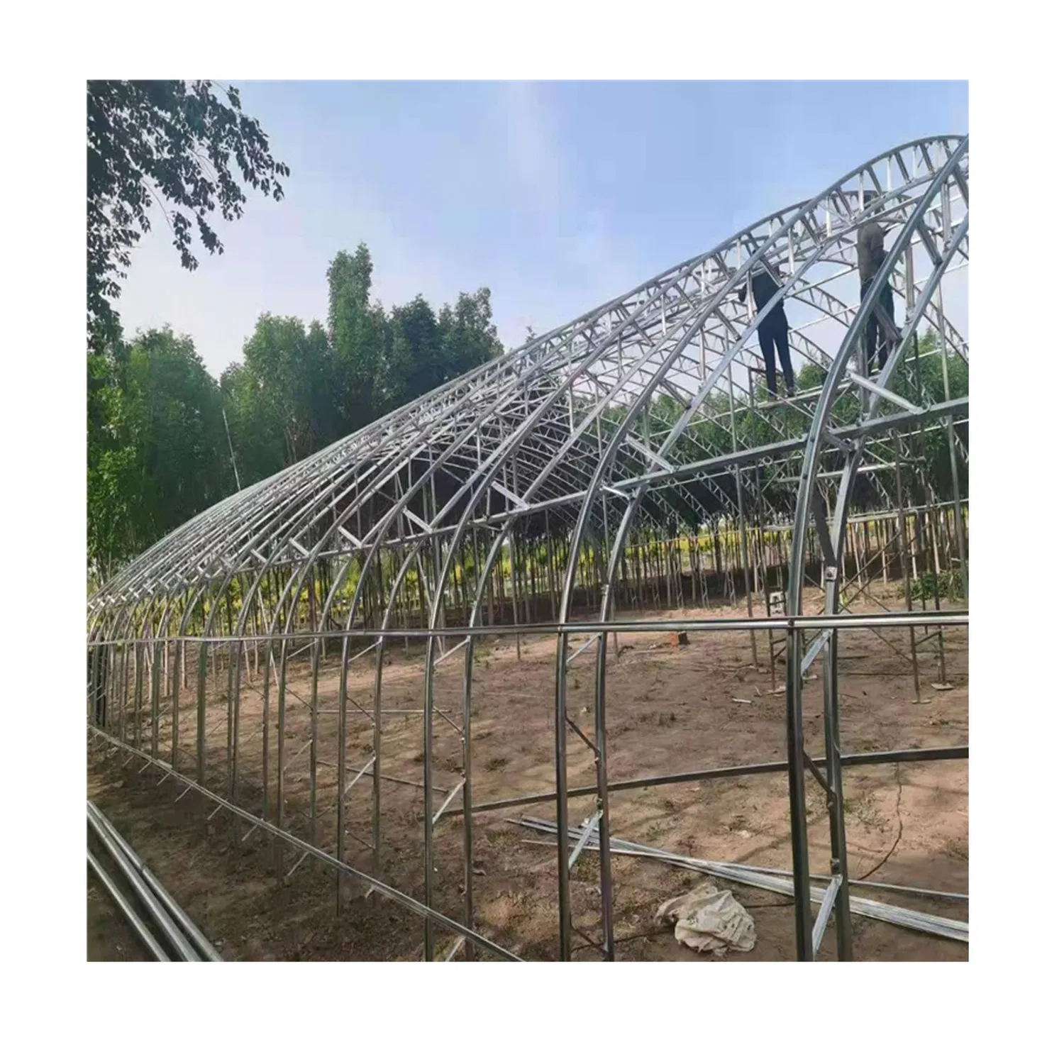 Sturdy Greenhouses with C-Shaped Steel Frame for Resilience Sturdy Greenhouses with C-Shaped Steel Frame for Resilience