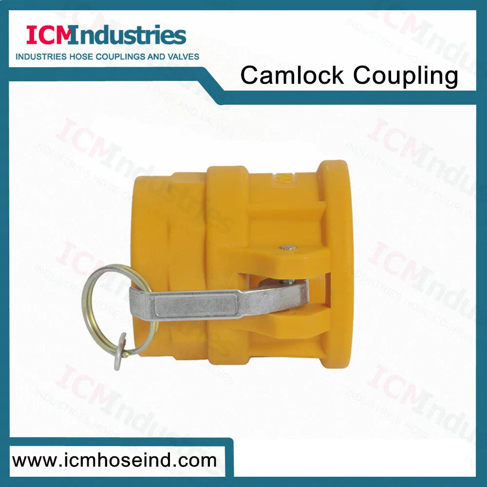 Nylon Cam and Groove Hose Couplings/Camlock Fittings