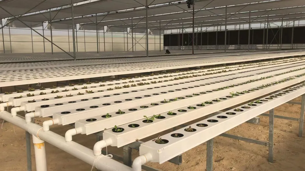 Greenhouse Hydroponic Systems Vertical Garden Farm Systems Hydroponic Nft Channel for Lettuce