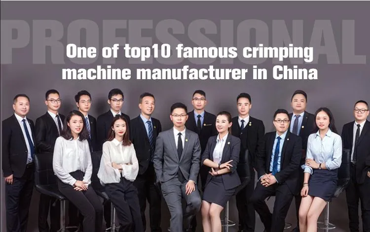 Promotion Hydraulic Hose Crimper High Pressure Finn Power P20 Pipe Pressing