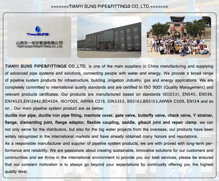 En598 Fusion Bonded Epoxy Coating Ductile Cast Iron Di Tyton Type Socket Joint Pipe Fittings