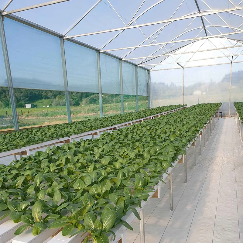 Agricultural Supplier Hydroponic Greenhouse Systems Nft Channel Pipe for Hydroponic Lettuce