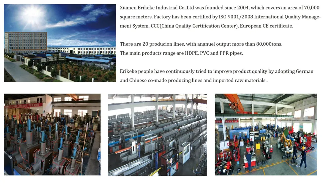 Factory Sales Deep Well PVC Casing Pipes and PVC Water Well Screens