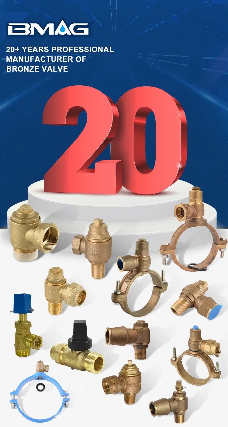 Bmag OEM PPR Fitting Cw511L Lead Free Brass Threaded Female Insert