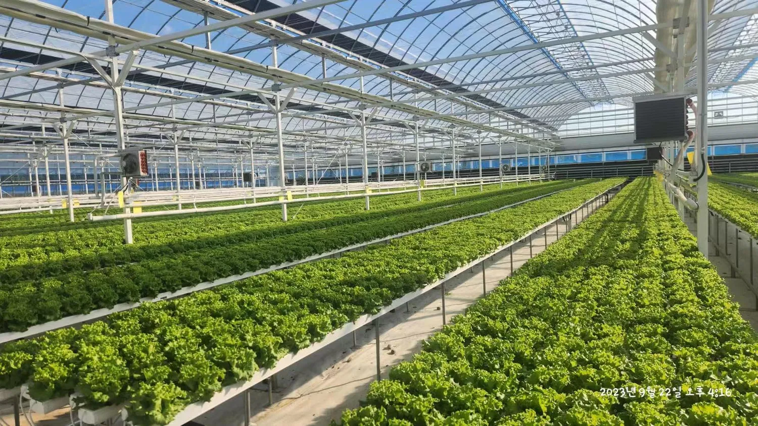 Customized Wholesale Growing Hidroponic System Vertical Rack Indoor Nft PVC Channel Customized Wholesale Growing Hidroponic System Vertical Rack Indoor Nft PVC Channel