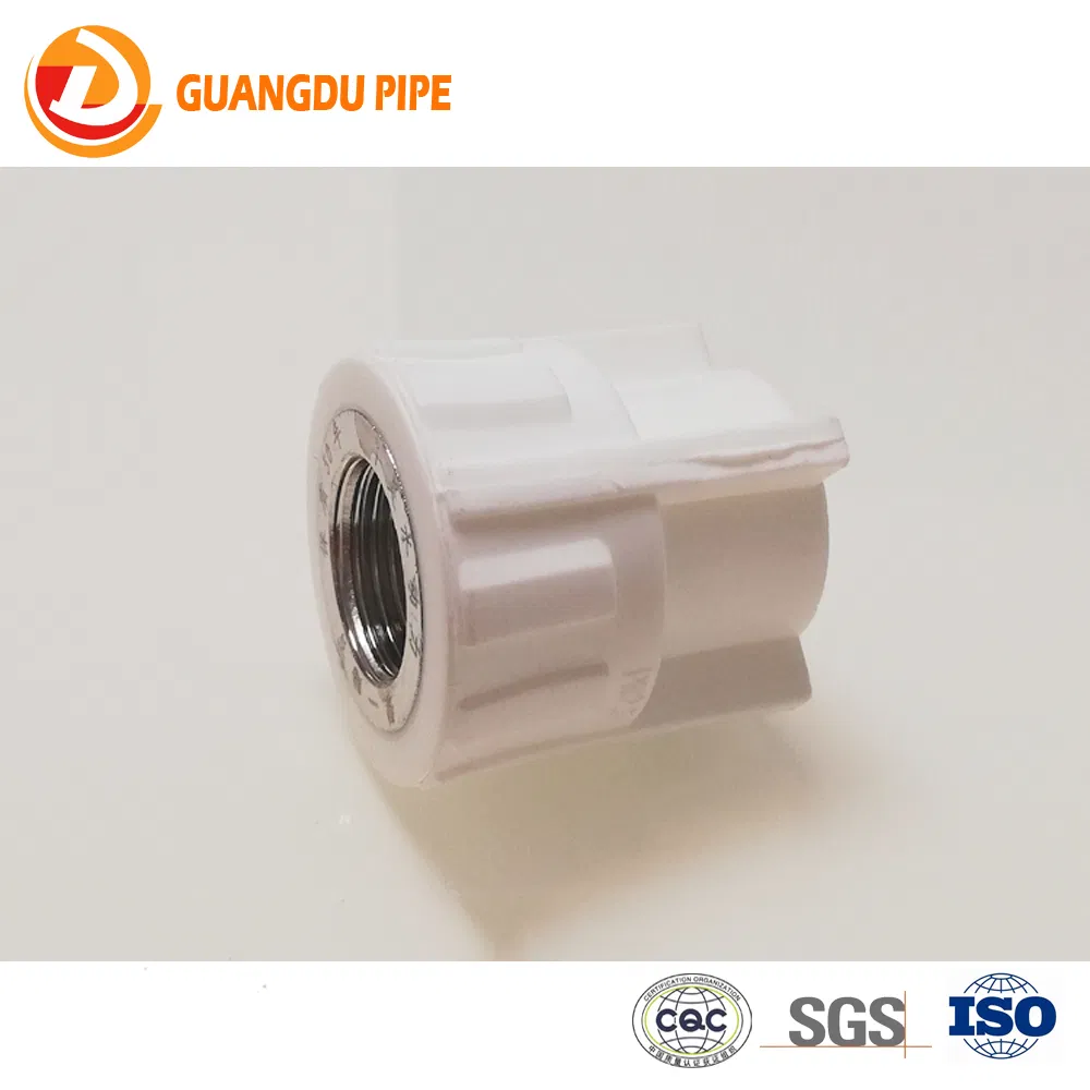 China Supplier Manufacture Corrosion Resistance Plumbing Water PPR Fittings PPR Professional Pipe Fi