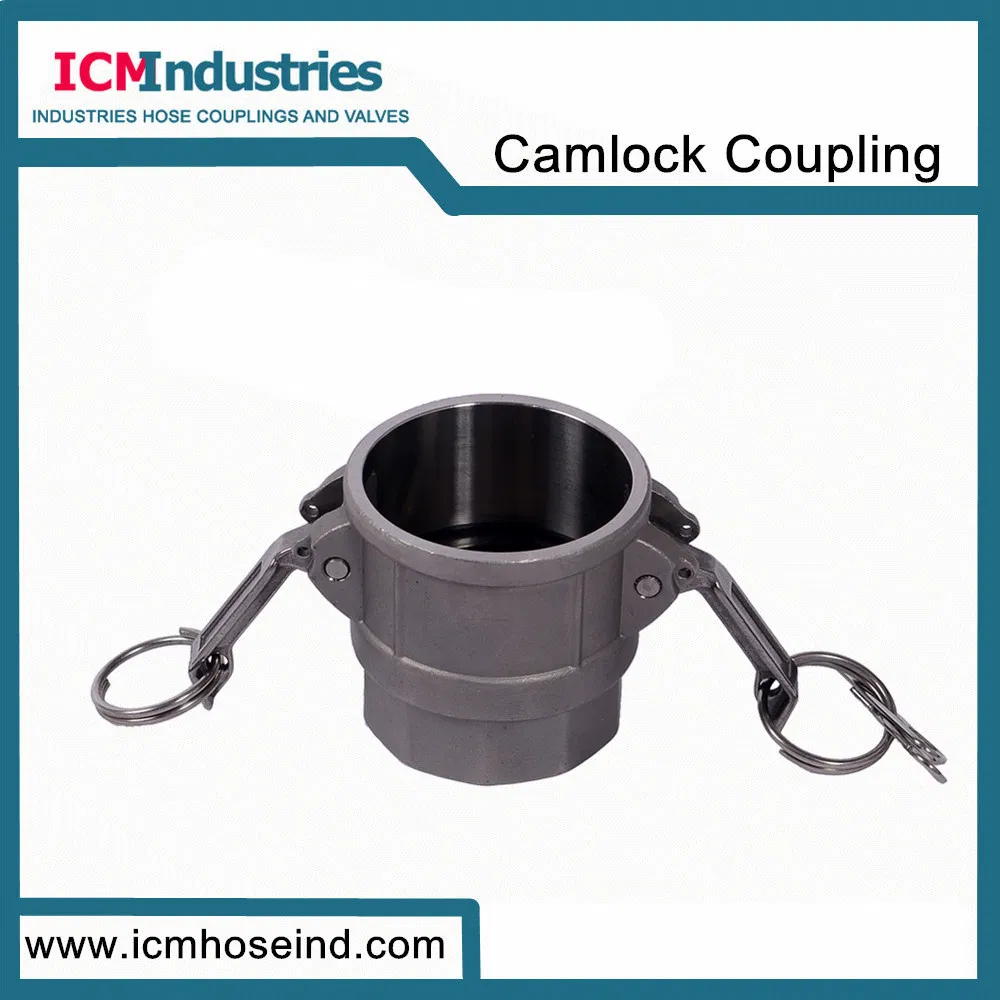 Stainless Steel/Aluminum/Brass/Aluminum/PP/Nylon Cam and Groove Fittings