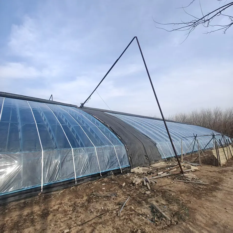 Versatile C-Shaped Steel Greenhouse for Home and Garden Use