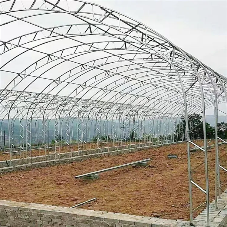 Versatile C-Shaped Steel Greenhouse for Home and Commercial Use