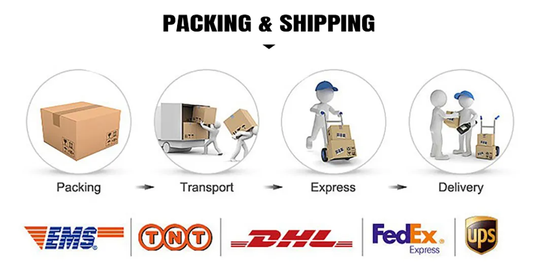 Construction Decoration Stainless Steel Pipe Fitting,