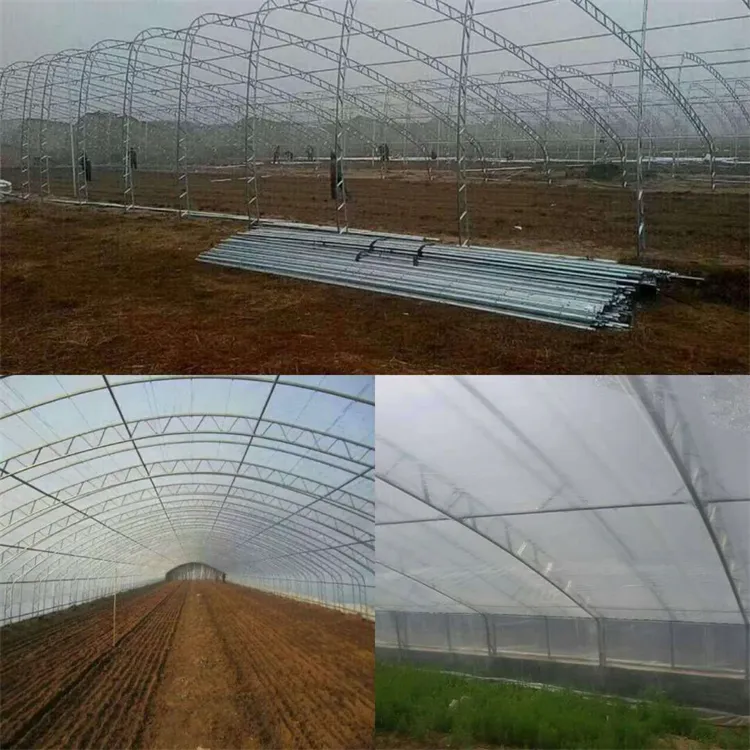 Durable C-Section Steel Greenhouse Structure for Optimal Plant Growth Durable C-Section Steel Greenhouse Structure for Optimal Plant Growth