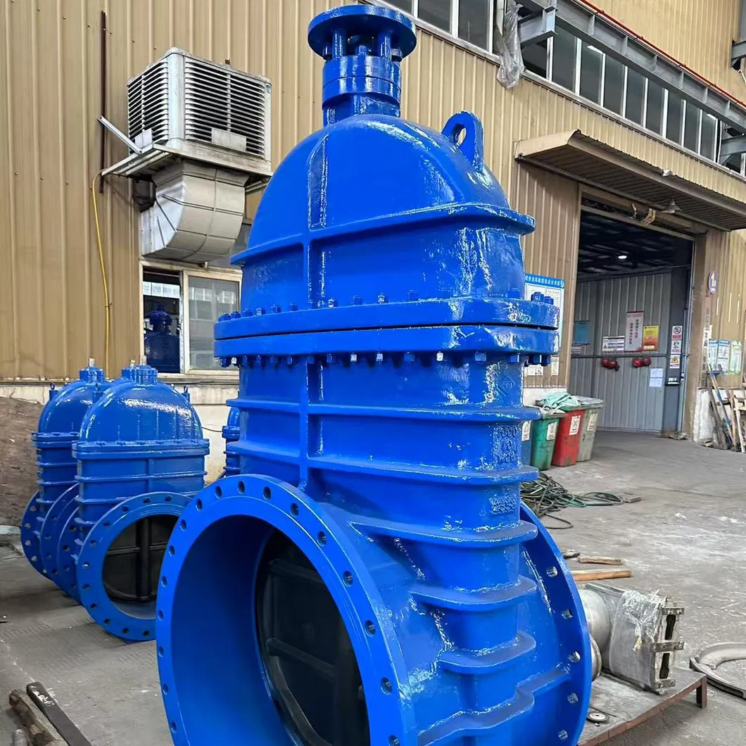 High-Performance Titanium Alloy Pipe Fittings Valve for Extreme Conditions Ta1, Ta2, Ta3, Ta7, Tc4, Tb2 CF8, CF8m, CF3, CF3m, TP304, Tp306L, Tp316, etc.