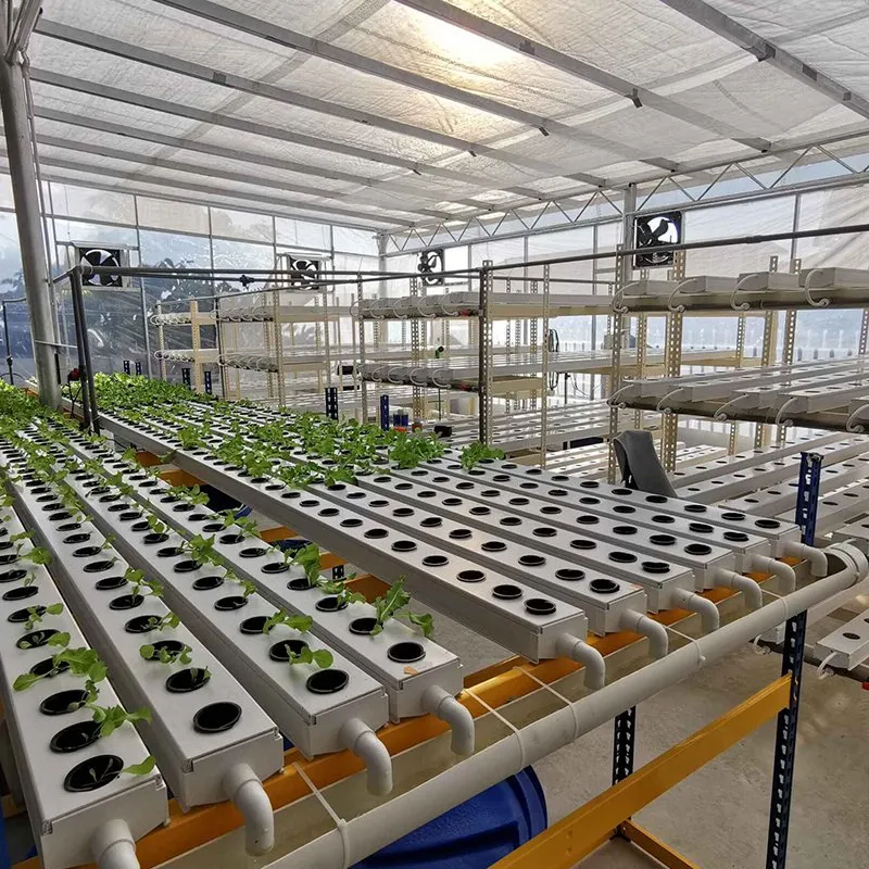 Agricultural Supplier Hydroponic Greenhouse Systems Nft Channel Pipe for Hydroponic Lettuce