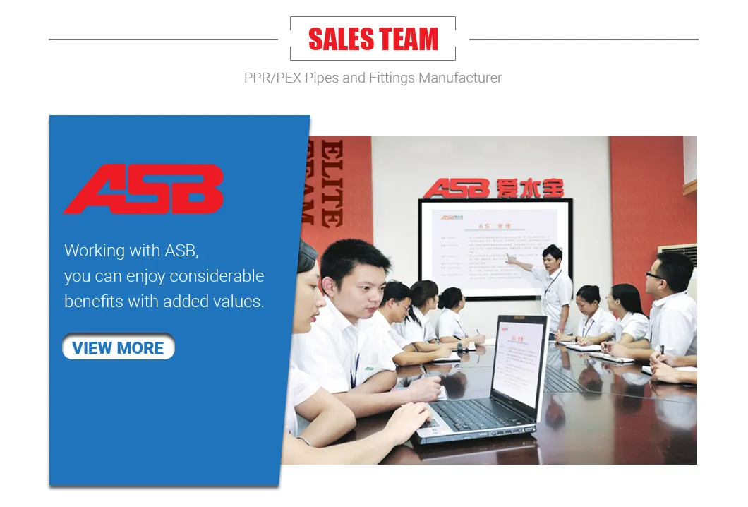 Factory Directly Supply PPR Pipe and Fitting for Hot and Cold Water with CE Certified Made in China