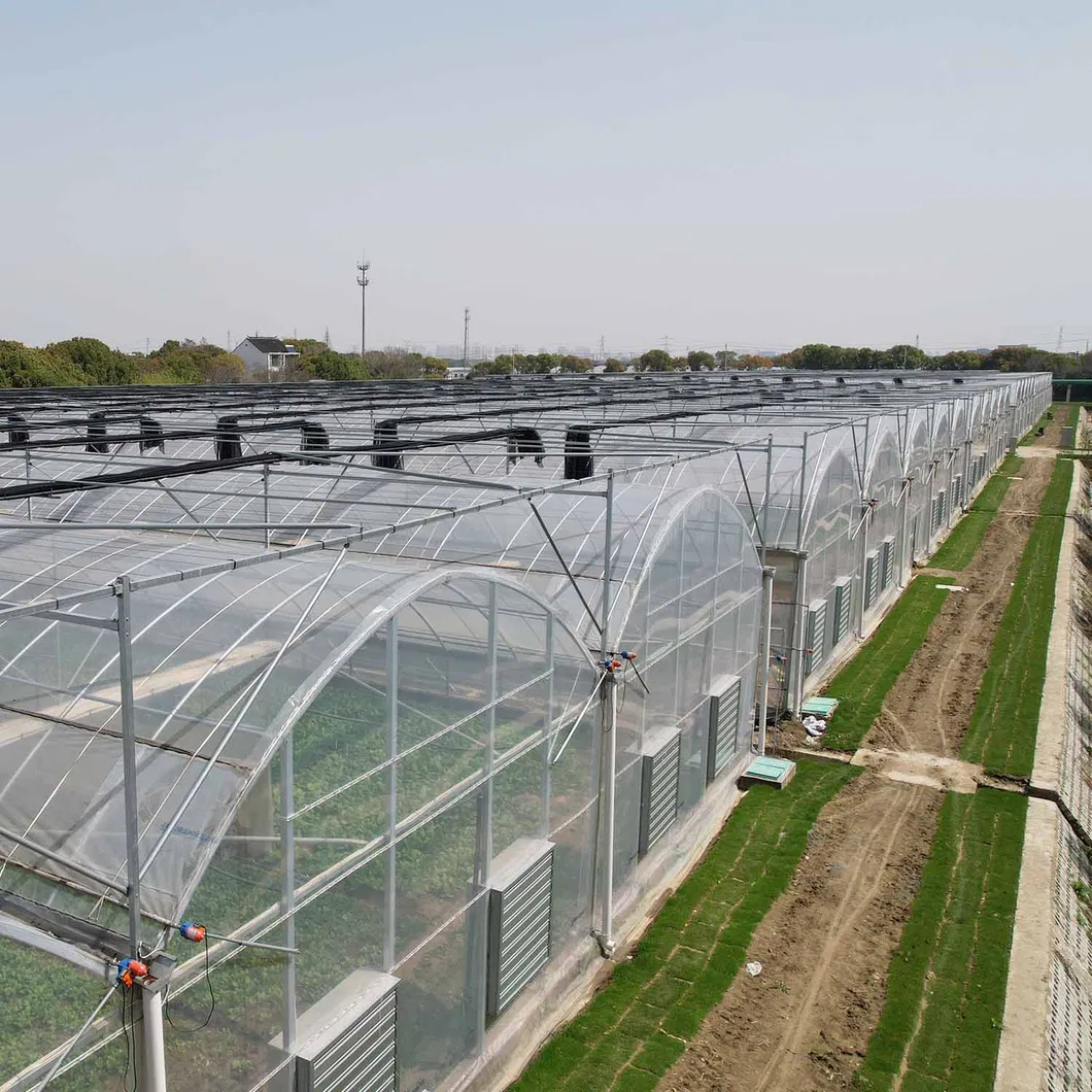 High Quality Greenhouse Pipe Manufacturer's Breeding Greenhouse Pipe Spot Connected Greenhouse Pipe Hot Selling