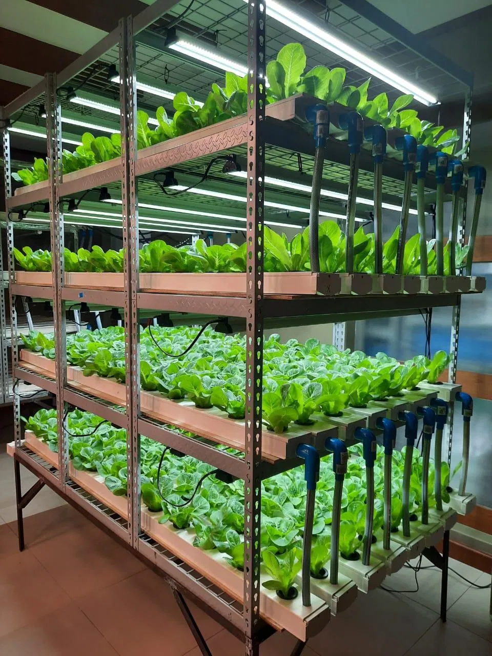 Hot Sale Plastic Agricultural Trays Greenhouse Pipes Channel Hydroponic Nft Growing System