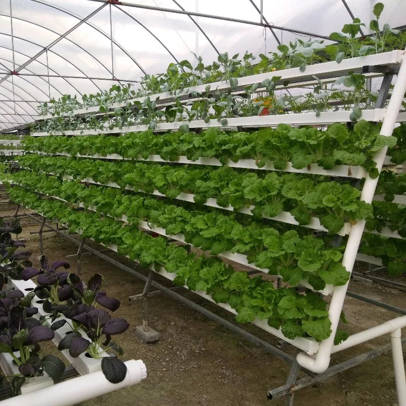 Popular Hydroponic Nft Channel Growing System PVC Gutter for Agricultural Greenhouse