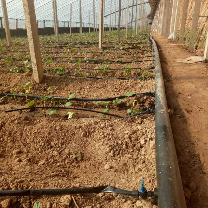 Zhongcai HDPE PVC UPVC PPR PP Water Pipe Fittings Plastic Drip Irrigation Polyethylene Irrigation Municipal Water for Agricultural Irrigation