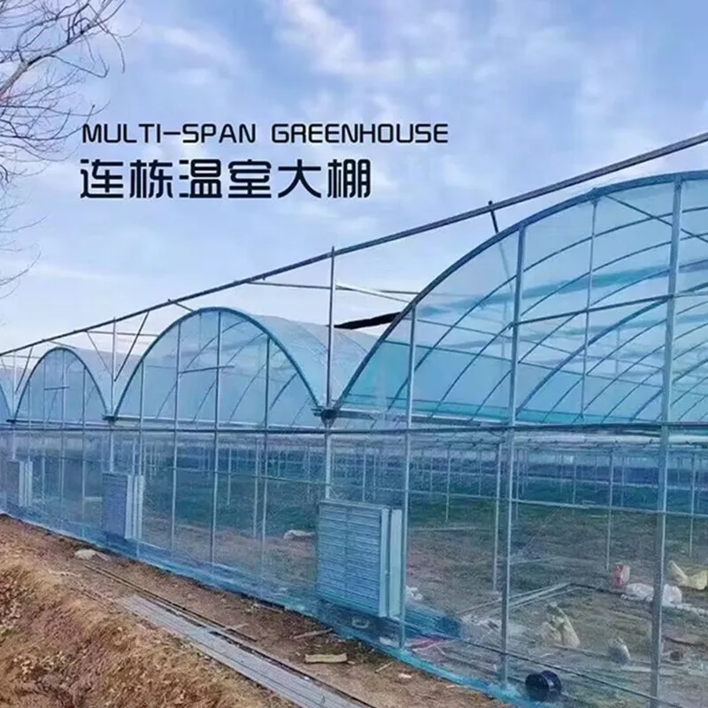 High Quality Greenhouse Pipe Manufacturer's Breeding Greenhouse Pipe Spot Connected Greenhouse Pipe Hot Selling