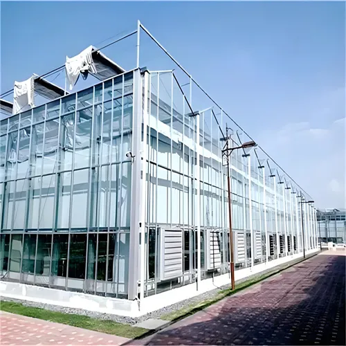 Greenhouse Glass Electric Greenhouse Machine Large Glass Smart PVC Garden Agricultural Greenhouses Glass Houses for Plants
