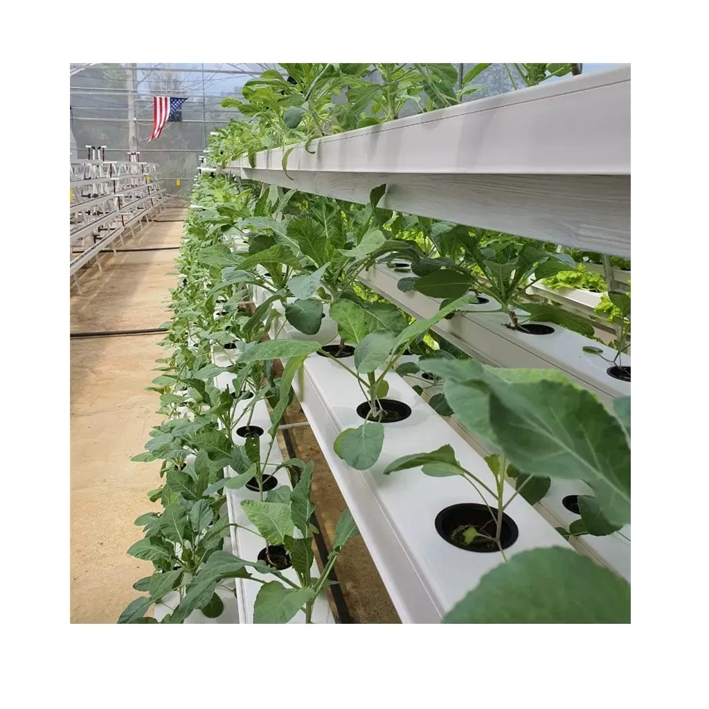 G and N Fortune Limited Hydroponic Grow System Vertical Hydroponics Gully Nft Pipes for Vegetables G