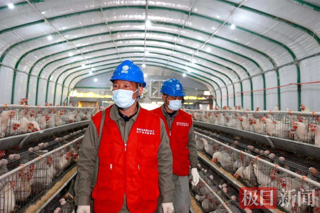 High Quality Greenhouse Pipe Manufacturer's Breeding Greenhouse Pipe Spot Connected Greenhouse Pipe Hot Selling