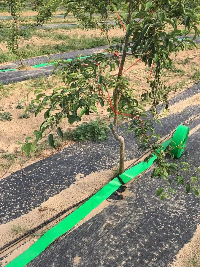 Drip Irrigation PE Pipe with Strong HDPE for Stable Irrigation Pipe Network