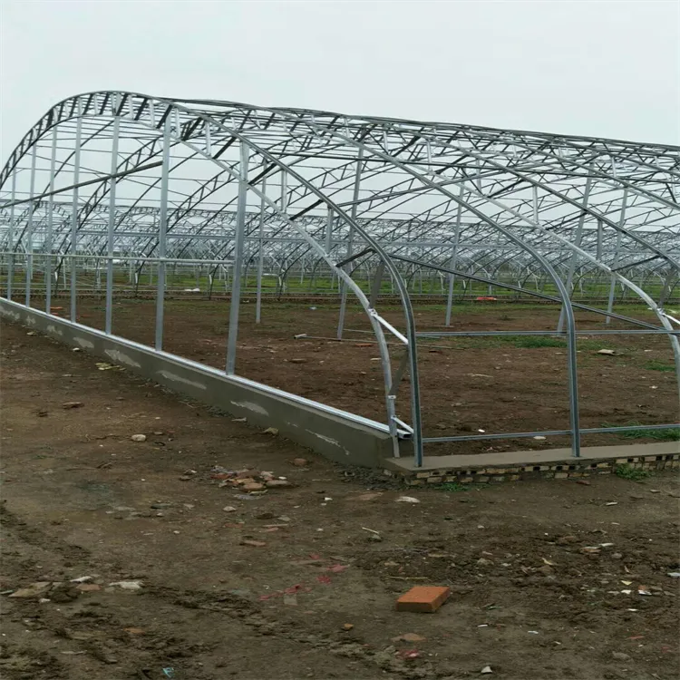 Versatile C-Shaped Steel Greenhouse for Home and Commercial Use
