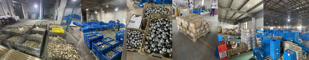 Brass Insert Fitting with Nickel Plated for PPR Pipe