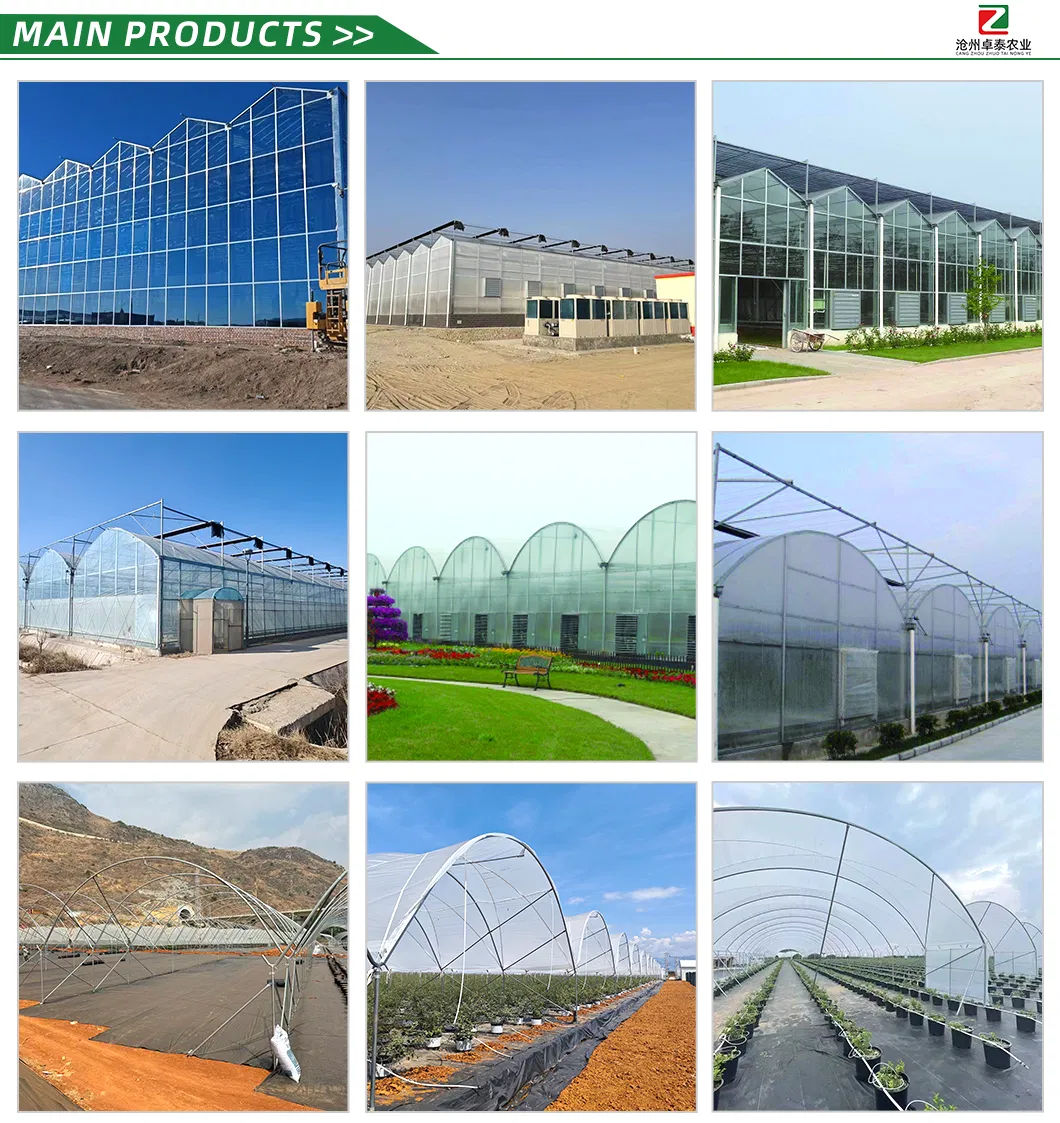 Versatile C-Shaped Steel Greenhouse for Home and Garden Use