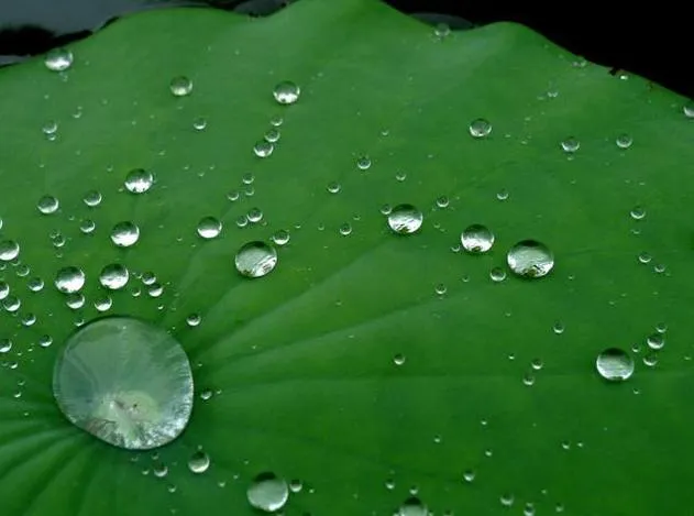 Large Diameter Efficient Water Supply HDPE Water Supply Pipeline